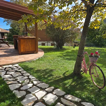 & Garden *